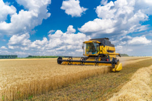 Máquina agrícola colhendo plantação de trigo referente ao seguro no agronegócio